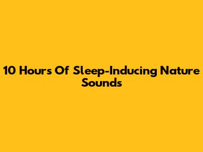 10 Hours Of Sleep-Inducing Nature Sounds