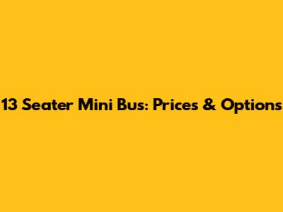 13 Seater Mini Bus: Prices & Options