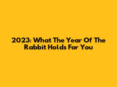 2023: What The Year Of The Rabbit Holds For You