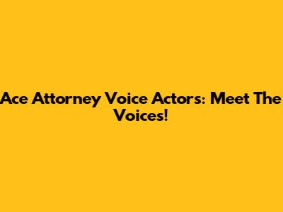 Ace Attorney Voice Actors: Meet The Voices!