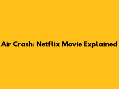 Air Crash: Netflix Movie Explained