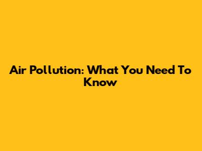 Air Pollution: What You Need To Know