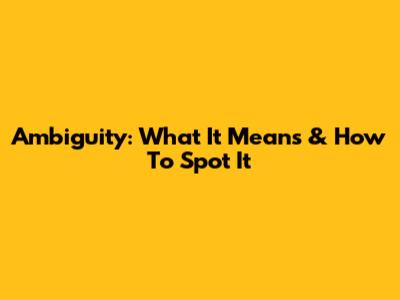 Ambiguity: What It Means & How To Spot It