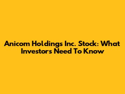 Anicom Holdings Inc. Stock: What Investors Need To Know
