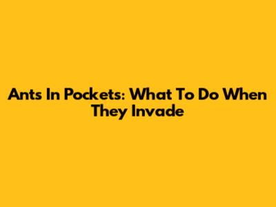 Ants In Pockets: What To Do When They Invade