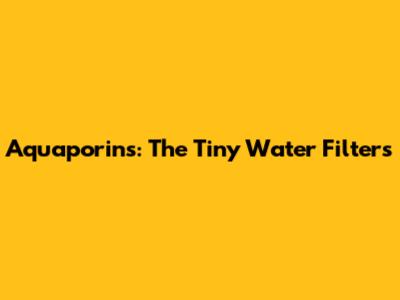 Aquaporins: The Tiny Water Filters