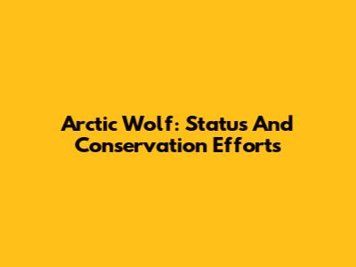 Arctic Wolf: Status And Conservation Efforts