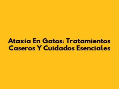 Ataxia En Gatos: Tratamientos Caseros Y Cuidados Esenciales