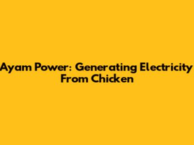 Ayam Power: Generating Electricity From Chicken