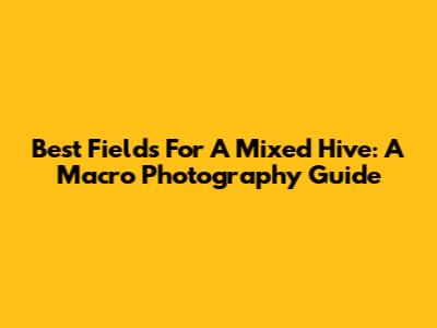 Best Fields For A Mixed Hive: A Macro Photography Guide