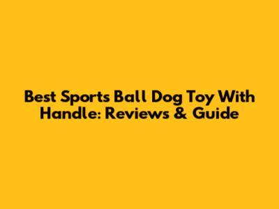 Best Sports Ball Dog Toy With Handle: Reviews & Guide