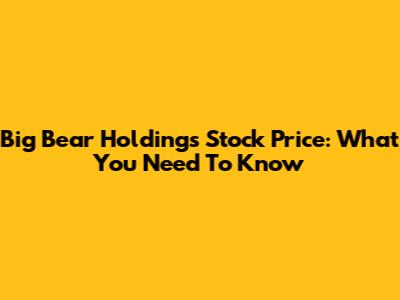 Big Bear Holdings Stock Price: What You Need To Know