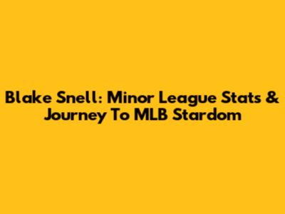 Blake Snell: Minor League Stats & Journey To MLB Stardom