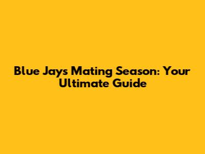 Blue Jays Mating Season: Your Ultimate Guide