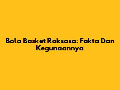 Bola Basket Raksasa: Fakta Dan Kegunaannya