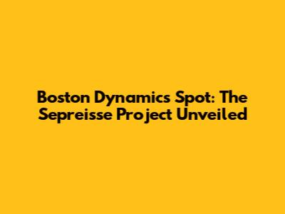 Boston Dynamics Spot: The Sepreisse Project Unveiled