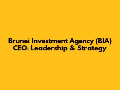 Brunei Investment Agency (BIA) CEO: Leadership & Strategy