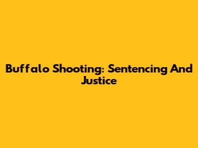 Buffalo Shooting: Sentencing And Justice
