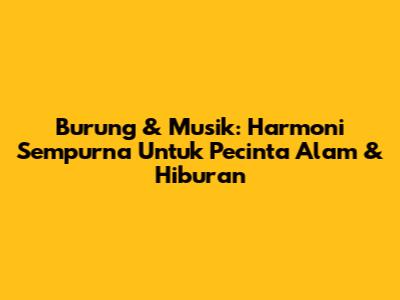 Burung & Musik: Harmoni Sempurna Untuk Pecinta Alam & Hiburan