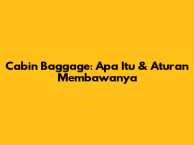 Cabin Baggage: Apa Itu & Aturan Membawanya