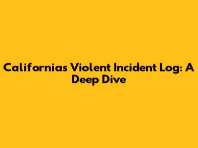 California's Violent Incident Log: A Deep Dive