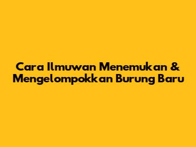 Cara Ilmuwan Menemukan & Mengelompokkan Burung Baru