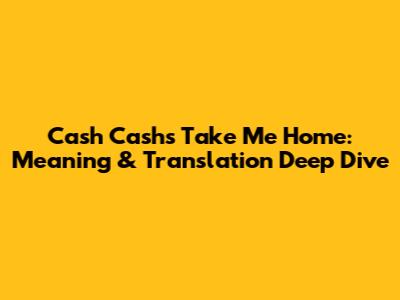 Cash Cash's 'Take Me Home': Meaning & Translation Deep Dive