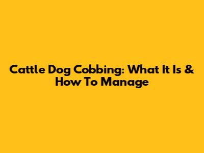 Cattle Dog Cobbing: What It Is & How To Manage