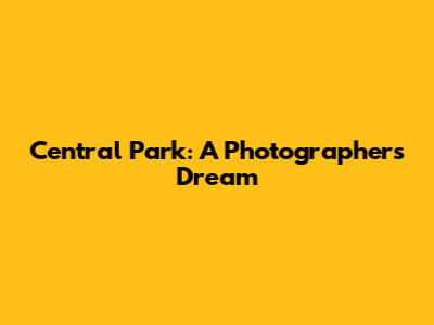 Central Park: A Photographer's Dream