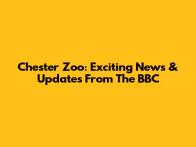 Chester Zoo: Exciting News & Updates From The BBC