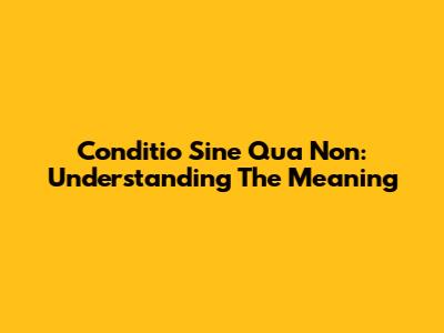 Conditio Sine Qua Non: Understanding The Meaning