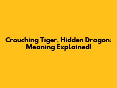 Crouching Tiger, Hidden Dragon: Meaning Explained!