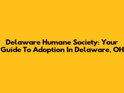 Delaware Humane Society: Your Guide To Adoption In Delaware, OH