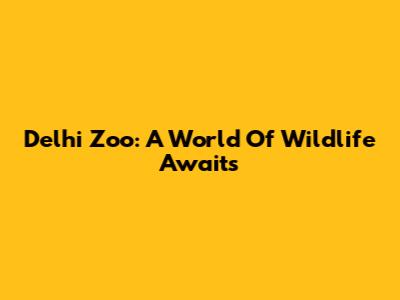 Delhi Zoo: A World Of Wildlife Awaits