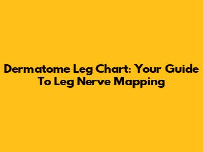 Dermatome Leg Chart: Your Guide To Leg Nerve Mapping