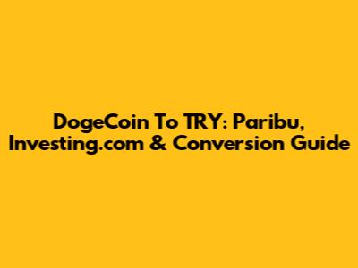 DogeCoin To TRY: Paribu, Investing.com & Conversion Guide