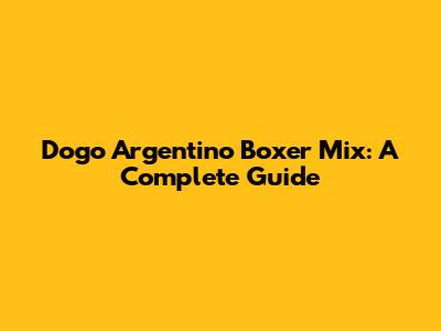 Dogo Argentino Boxer Mix: A Complete Guide
