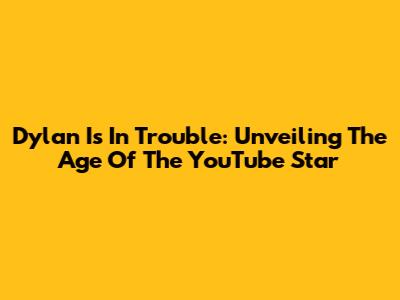 Dylan Is In Trouble: Unveiling The Age Of The YouTube Star