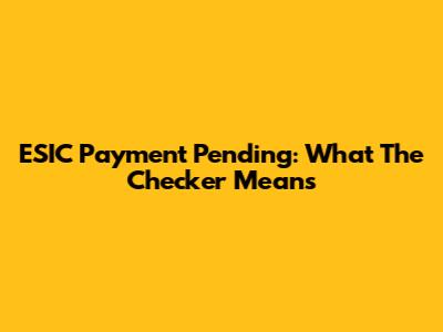 ESIC Payment Pending: What The Checker Means