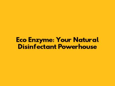 Eco Enzyme: Your Natural Disinfectant Powerhouse