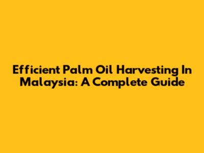 Efficient Palm Oil Harvesting In Malaysia: A Complete Guide
