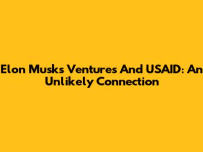 Elon Musk's Ventures And USAID: An Unlikely Connection