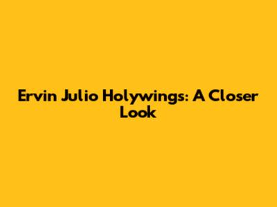 Ervin Julio Holywings: A Closer Look