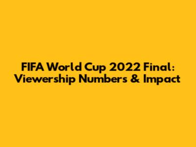 FIFA World Cup 2022 Final: Viewership Numbers & Impact