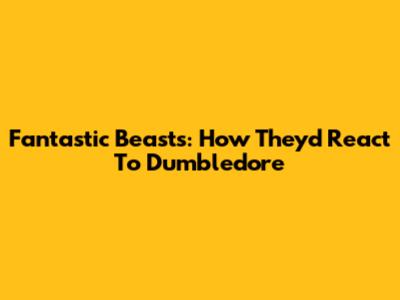 Fantastic Beasts: How They'd React To Dumbledore