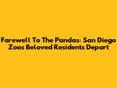 Farewell To The Pandas: San Diego Zoo's Beloved Residents Depart
