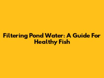 Filtering Pond Water: A Guide For Healthy Fish
