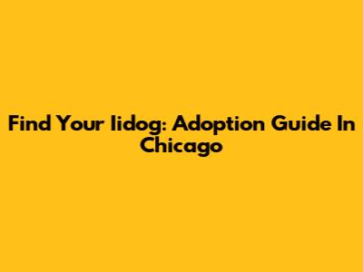 Find Your Iidog: Adoption Guide In Chicago