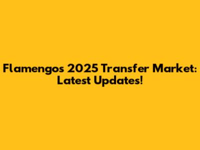 Flamengo's 2025 Transfer Market: Latest Updates!