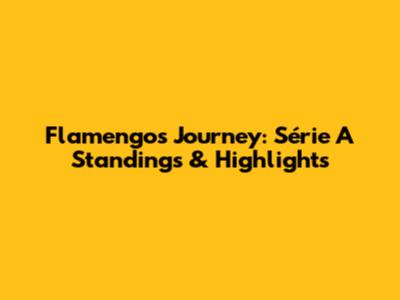 Flamengo's Journey: Série A Standings & Highlights